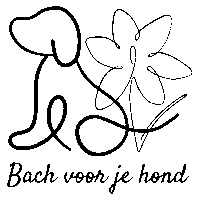 Bach voor je hond